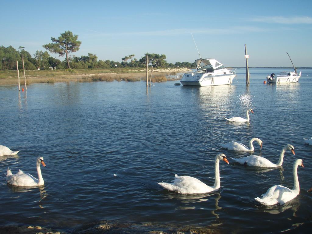 Les Marinas De Cassy Apartment Lanton Bagian luar foto
